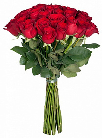 25 красных высоких элитных роз Фридом 