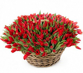 301 красный тюльпан в корзине
