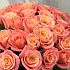 51 роза Мисс Пигги в шляпной коробке - Фото 4