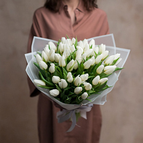 51 белый тюльпан 