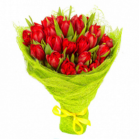 Букет из 31 красного пионовидного тюльпана