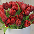 Пионовидные тюльпаны в коробке - Фото 4