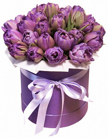 31 пионовидный тюльпан в малой шляпной коробке