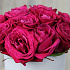 15 роз Шангри-Ла в коробке - Фото 4
