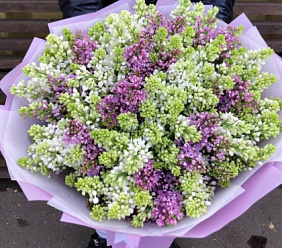 Букет сирени Весна