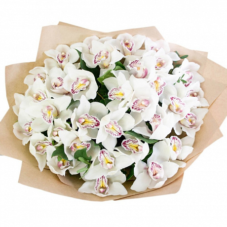 37 белых орхидей - Фото 1