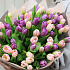 101 розово-фиолетовый тюльпан - Фото 2