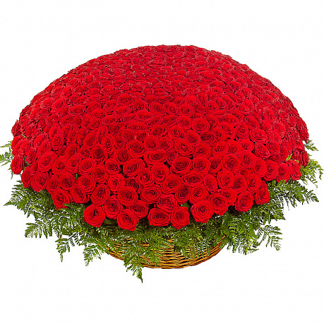 501 красная роза в корзине - Фото 1