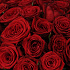 51 красная роза в шляпной коробке - Фото 4