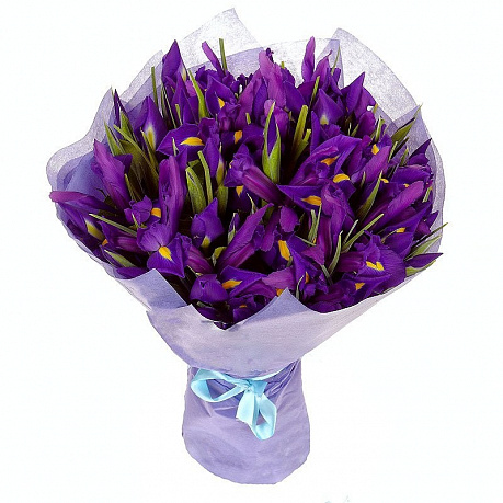 Недорогой букет из цветов ирисов «Лагуна» - Фото 1